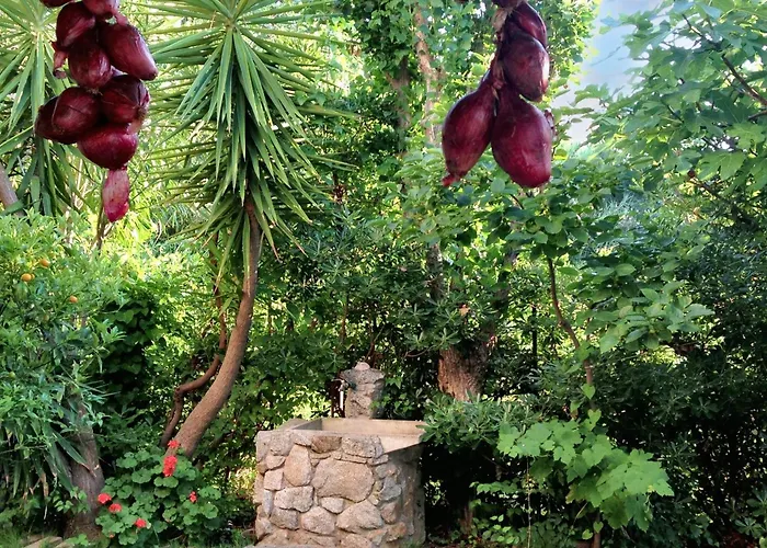 Welcoming House In With Shared Pool דירה *