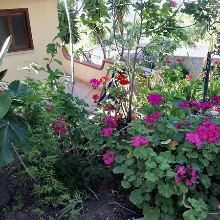 Welcoming House In With Shared Pool Daire