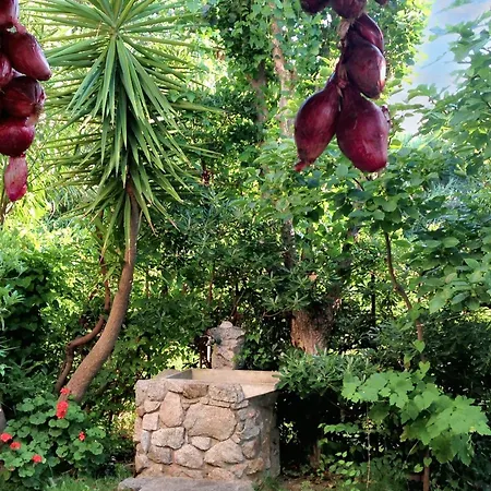 Welcoming House In With Shared Pool Daire *